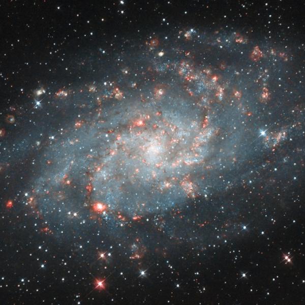 M33 - Galassia del Triangolo